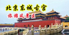 操女人腚眼子视频网站中国北京-东城古宫旅游风景区